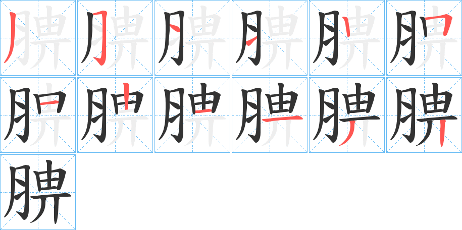 腗 腗