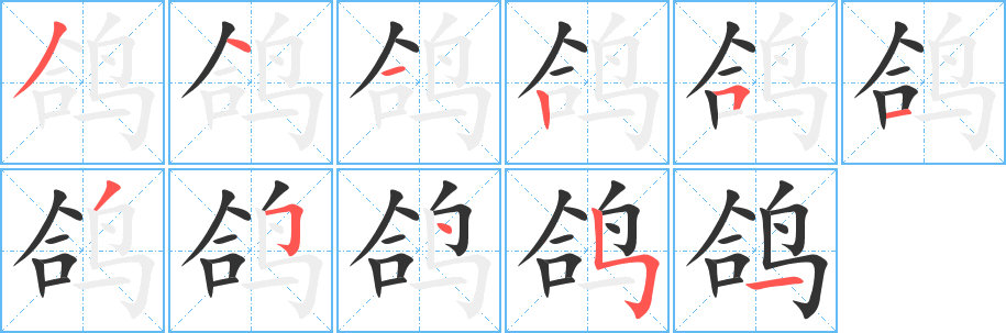 鸽 鸽